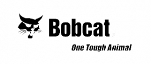 ALTER-bobcat_logo-removebg-preview